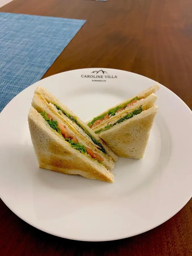 Caroline Villa, Nuwara Eliya 3*,
